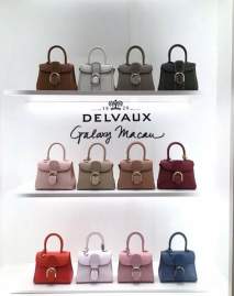 Picture of Delvaux Handbags _SKUfw176137231fw